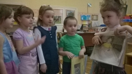 Участники проекта